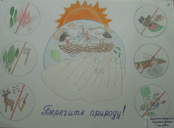 Плакат береги природу