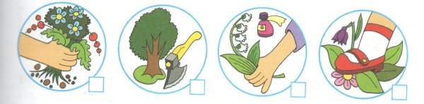 Берегите растения