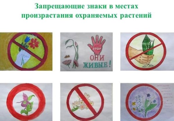 Береги растения