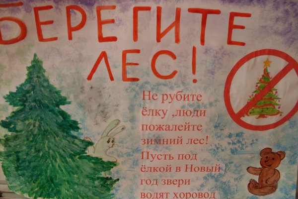 Не рубите елки