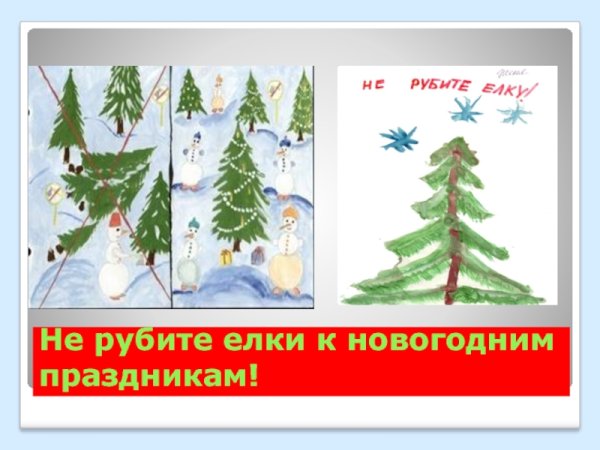 Акция берегите елочку в детском саду