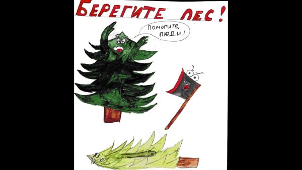 Плакат в защиту ели