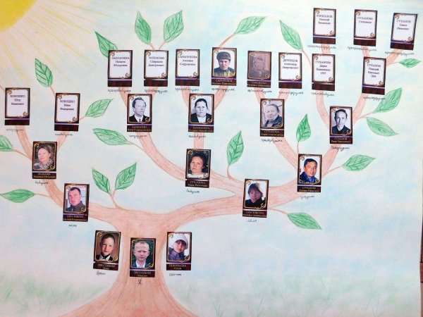 Плакат родословное Древо моей семьи