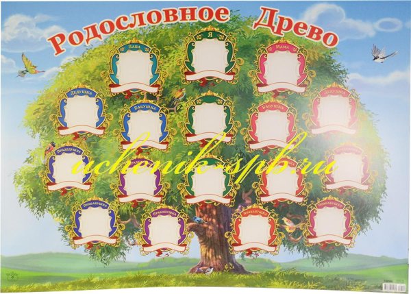 Плакат родословное дерево