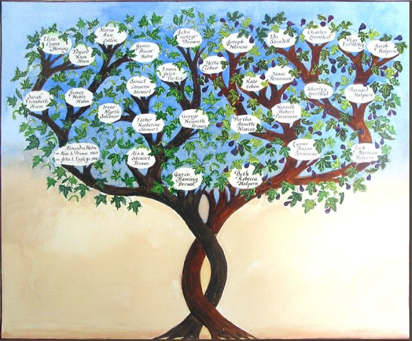 Семейное Древо Адамс