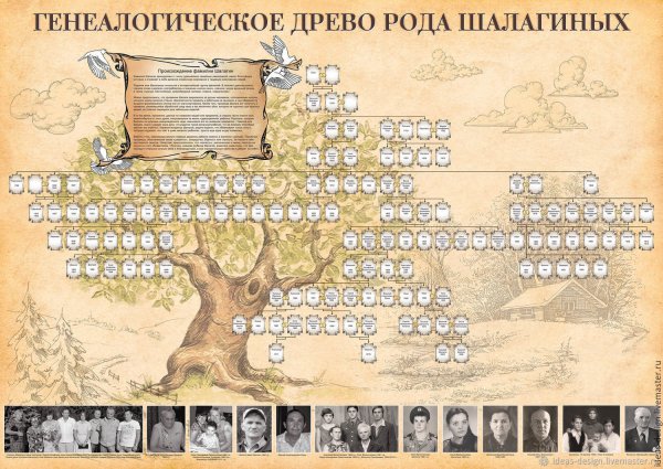 Генеалогическое Древо старинное