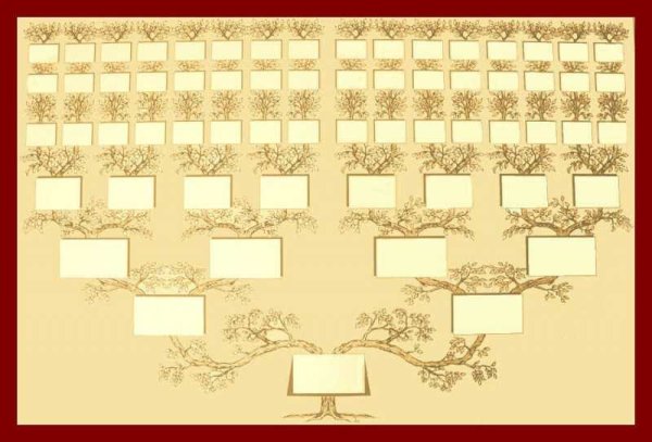 Династия Ямато Древо