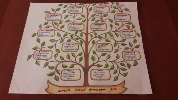 Проект родословное дерево