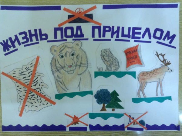 Плакат берегите животных