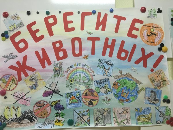 Плат берегить животных