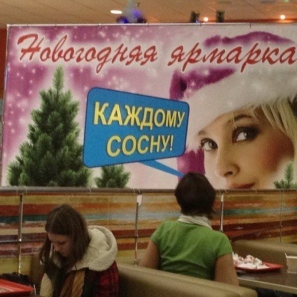 Хочешь сосну за