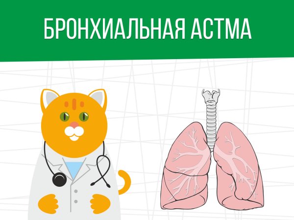 Постет бронхиальная астма