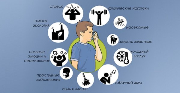 Факторы бронхиальной астмы