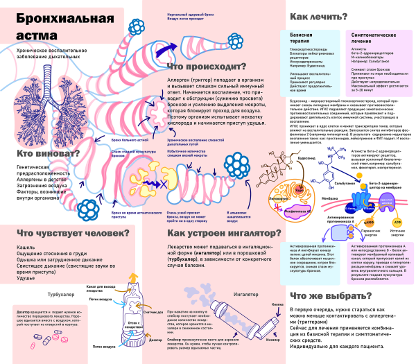 Микробиота кишечника