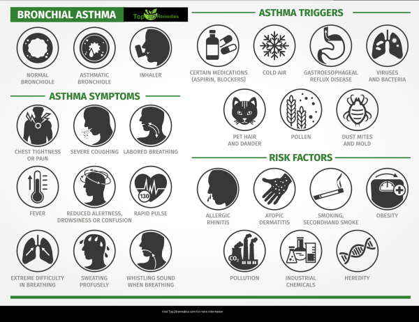 Триггеры приступа бронхиальной астмы