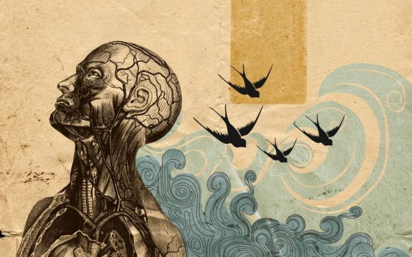 Постер по философии