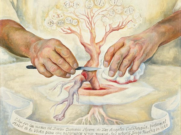 Образы в голове