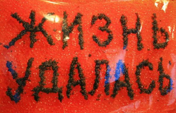 Андрей Логвин жизнь удалась