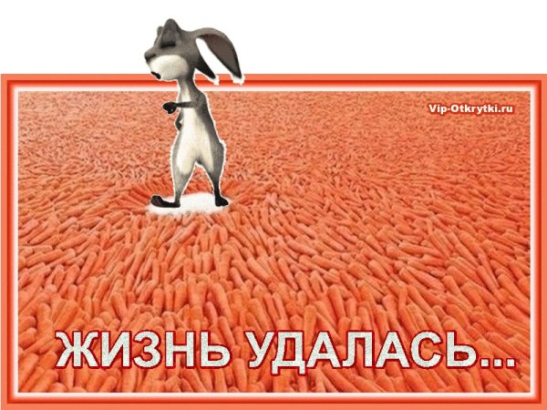 Жизнь удалась икра