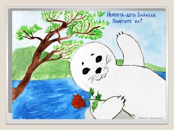 Экоплакат чистая Балтика