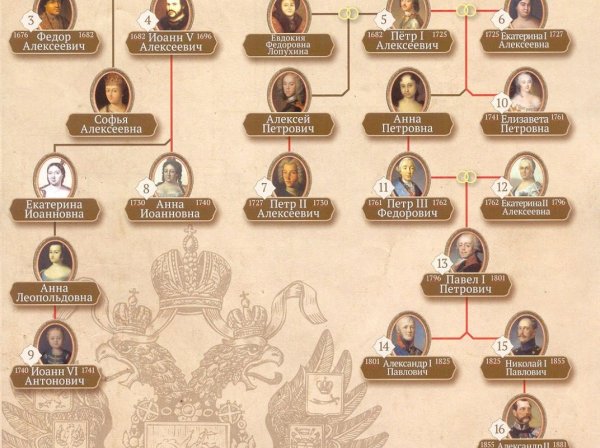 Династия Романовых в России Древо