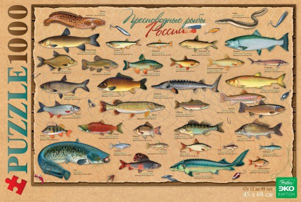 Пазл Hatber крафт эко рыбалка (1000пз2_15106), 1000 дет.