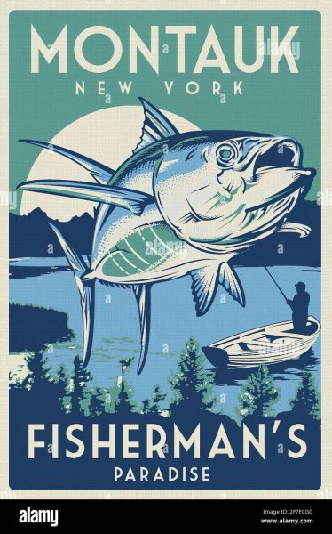 Плакат. Рыбы