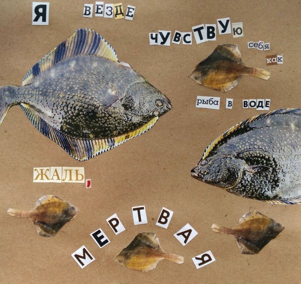 Морские и речные обитатели