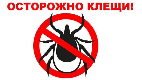 Осторожно клещи