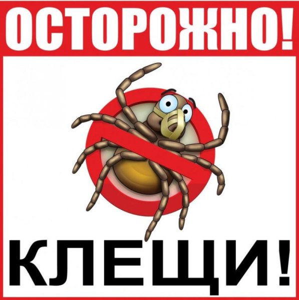 Таблички осторожно клещ
