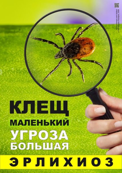 Опасные клещи плакаты