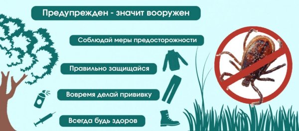 Внимание клещ