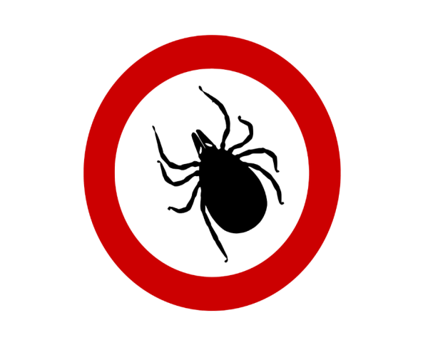 Памятка осторожно клещи. Профилактика клещевого энцефалита