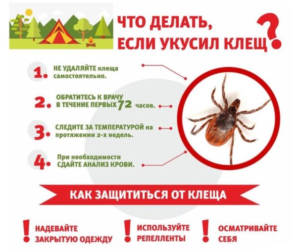 Осторожно клещи