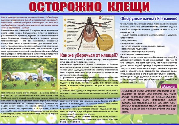 Осторожно клещи памятка для детей