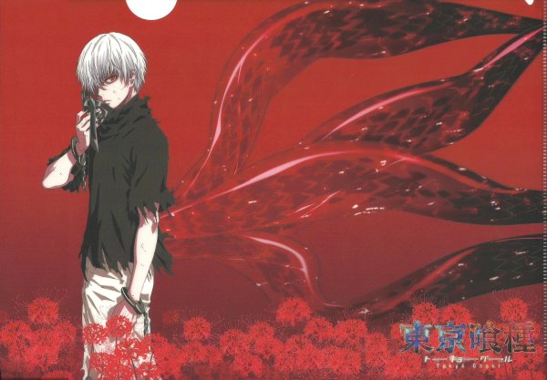 Канеки Кен аниме