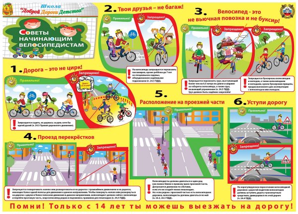 Правила поведения на дороге