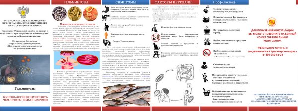 Памятка на тему профилактика гельминтозов у детей