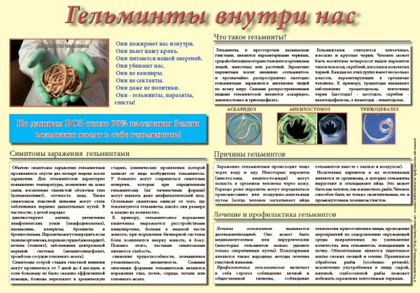 Санбюллетень гельминты