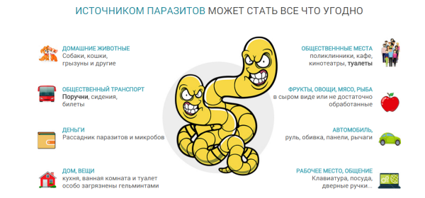 Меры профилактики гельминтозов памятки