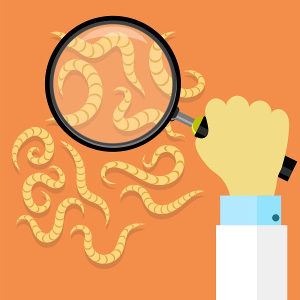 Глисты вектор