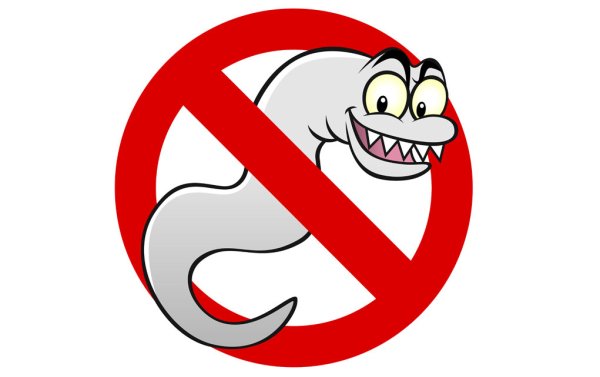 Глисты рисунок