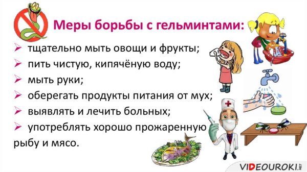 Меры профилактики гельминтозов памятки