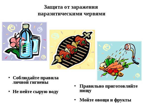 Памятка профилактика заражения плоскими червями