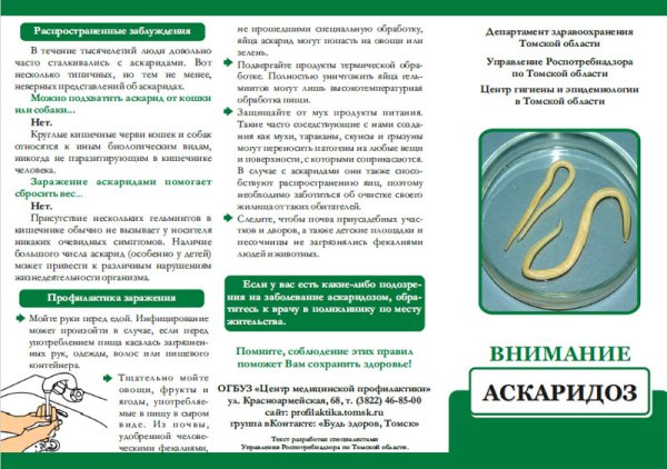 Профилактика аскаридоза буклет