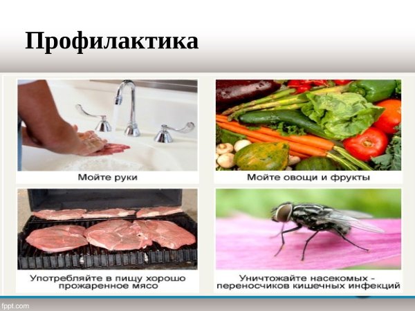 Меры предосторожности глистных заболеваний