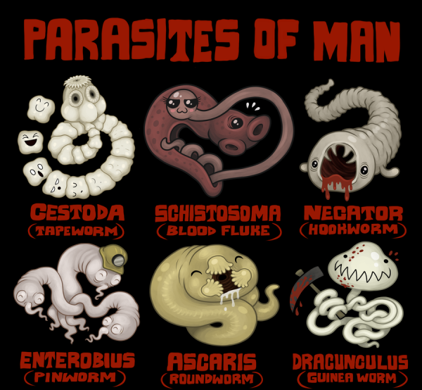 Инфекционные заболевания и гельминтозы, передающиеся через почву.