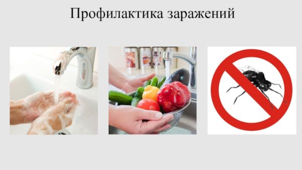 Паразиты меры профилактики острицы