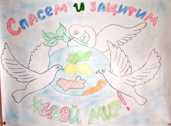 Плакат в защиту мера н аземле