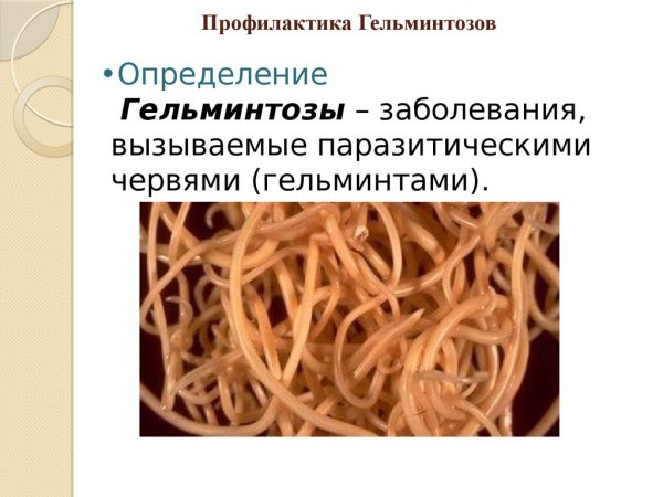 Меры профилактики глистных заболеваний